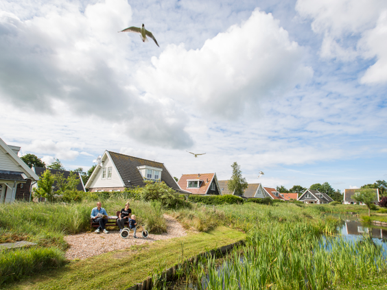 Hoofdafbeelding zomer.jpg