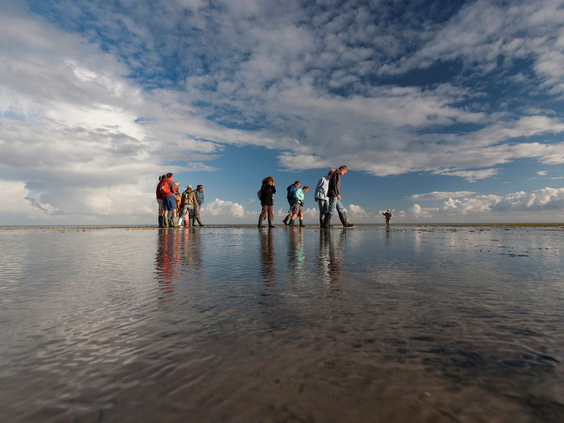 Een groep mensen, inclusief kinderen, die aan het wadlopen zijn op de slikken van de Waddenzee in Friesland onder een indrukwekkende wolkenlucht.