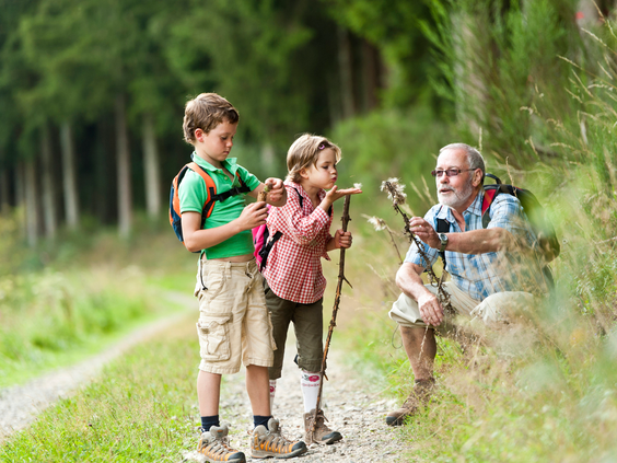 Twee kinderen wandelen door het bos met hun opa, die hen iets aanwijst in de natuur, in de omgeving van Landal Hochwald.