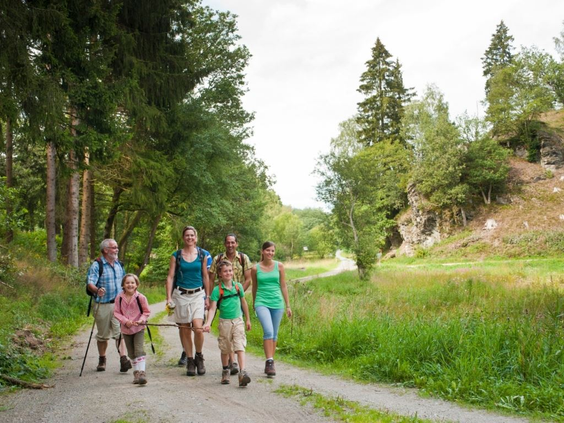 Een familie van meerdere generaties wandelt over een pad door de groene natuur in de bosrijke omgeving van Landal Hochwald.