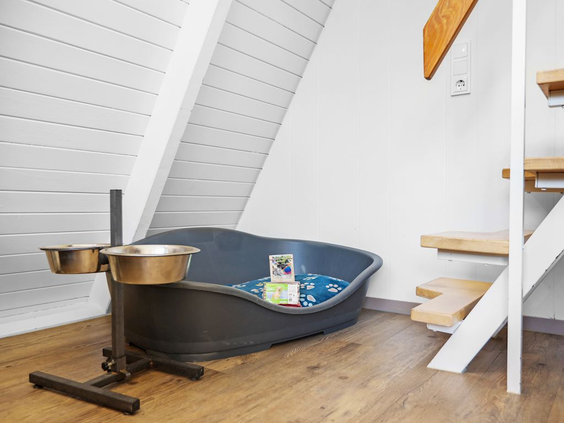 Een comfortabele hondenmand, voerbakken op een standaard en hondenspeelgoed staan klaar in de speciale hondenbungalow van Landal Hochwald.