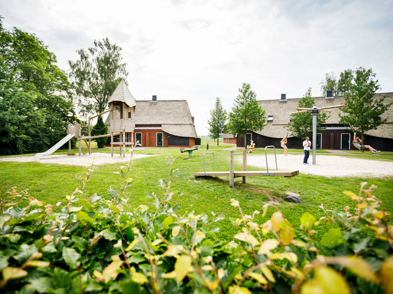 Een overzicht van een speeltuin met houten speeltoestellen op een grasveld, gelegen tussen de karakteristieke Saksische boerderijen van Landal Hof van Saksen.