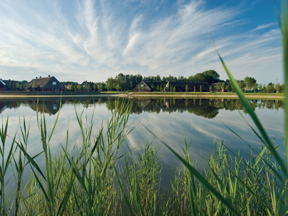 Een rustgevend uitzicht over het grote recreatiemeer van Landal Hof van Saksen, met rietkragen op de voorgrond en de Saksische boerderijen in de verte, onder een helderblauwe lucht.
