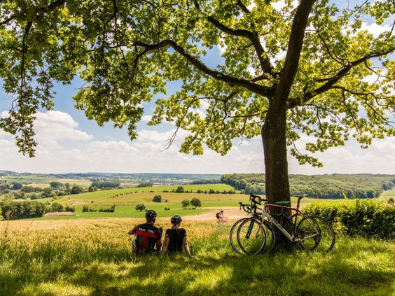 Twee fietsers rusten uit onder een boom en genieten van het adembenemende uitzicht over de glooiende heuvels rondom Landal Hoog Vaals.