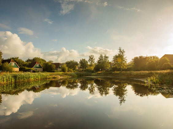 Hoofdafbeelding herfst.jpg