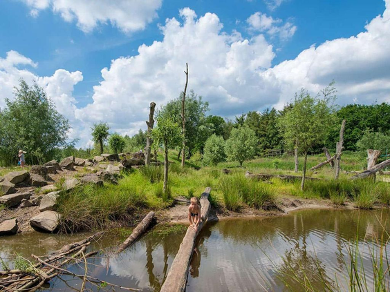 Kind loopt over een avontuurlijke boomstambrug over een vijver in de grote natuurspeeltuin van Landal Klein Oisterwijk.