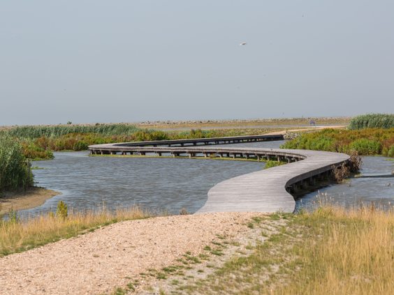 Landal Marker Wadden