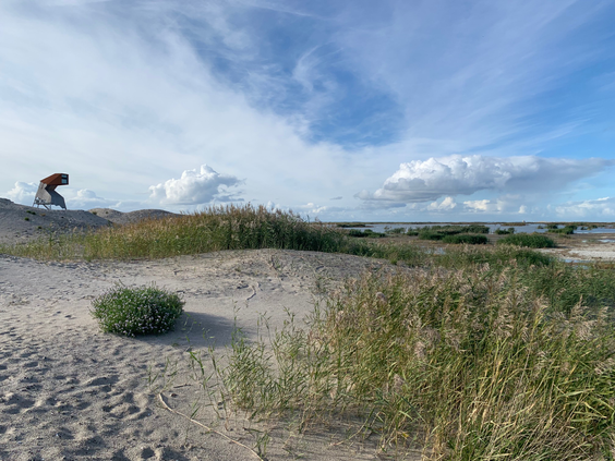 Een kind speelt en speurt in het zand van het weidse duinlandschap op de Marker Wadden.