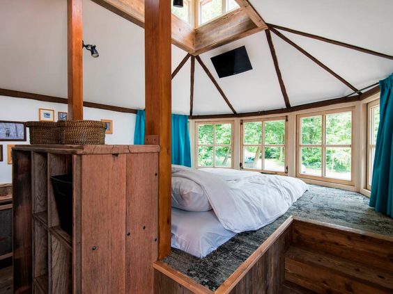 De unieke slaapkamer met rond bed in de boomwoning van Landal Miggelenberg, omringd door ramen met uitzicht op het bos.
