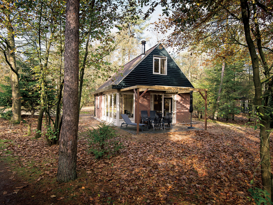 Een gezellige bungalow op Landal Miggelenberg, verscholen tussen de bomen met herfstbladeren op de grond.