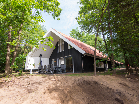 Een moderne, zwarte houten lodge (bungalow) met een groot terras midden in de bossen van Landal Miggelenberg.