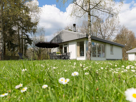 Een vrijstaand vakantiehuis op Landal Mont Royal, gelegen in een groene tuin vol met madeliefjes.