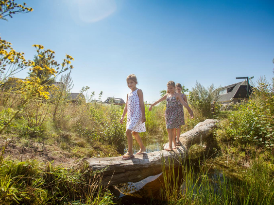 Kinderen balanceren op een boomstam op het avontuurlijke natuurpad van het Avontureneiland op Landal Orveltermarke.