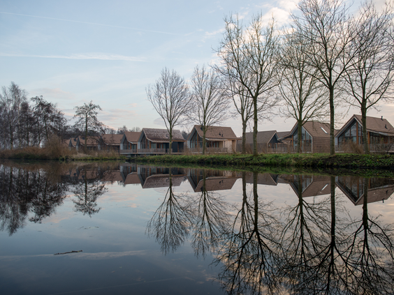 De waterrijke, groene omgeving van Landal Reeuwijkse Plassen, met bomen die perfect reflecteren in het spiegelgladde water van de plas.