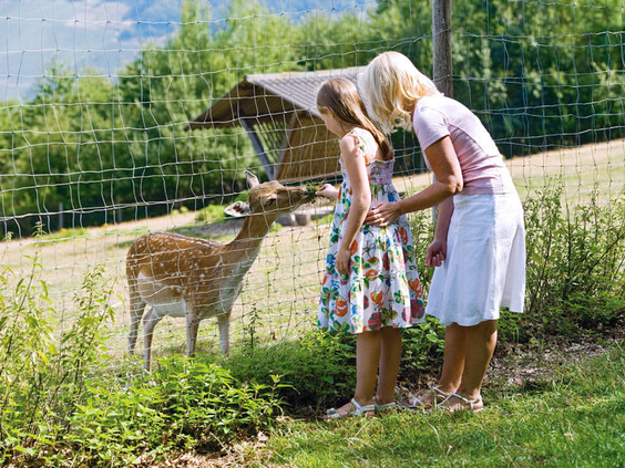 Een moeder en dochter voeren een hertje in het wildpark van Landal Sonnenberg, direct op het vakantiepark aan de Moezel.