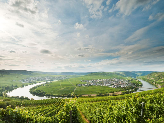 Een adembenemend panoramisch uitzicht vanaf Landal Sonnenberg over de bocht in de rivier de Moezel, omringd door wijngaarden.