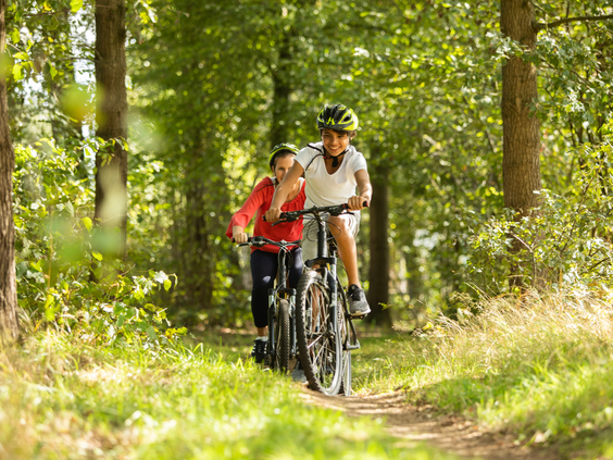 Twee mensen op mountainbikes fietsen over een smal bospad door de groene bossen in de omgeving van Landal Stroombroek.
