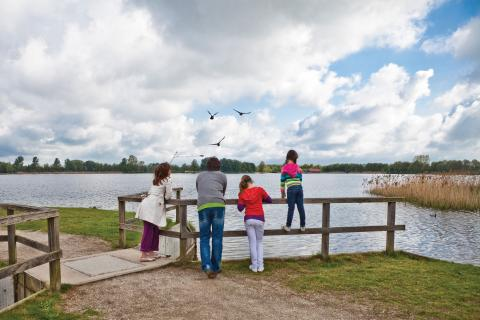Gezin staat op een vlonder en kijkt uit over de grote recreatieplas met zandstrand bij Vakantiepark Landal Stroombroek.