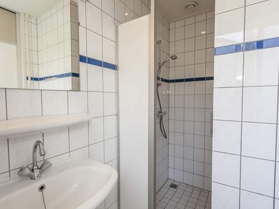 De badkamer van een bungalow op Landal Twenhaarsveld, voorzien van een wastafel, bad en douche.