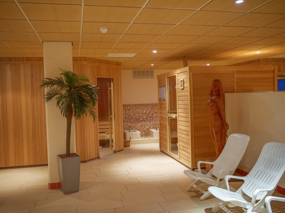 De wellness- en saunafaciliteiten van Landal Vitamaris, met houten sauna's, een infraroodcabine en relaxstoelen.