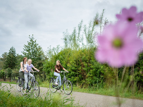 Een gezin fietst over een fietspad in de groene natuur van Nationaal Park Weerribben-Wieden, nabij Landal Waterresort Blocksyl.