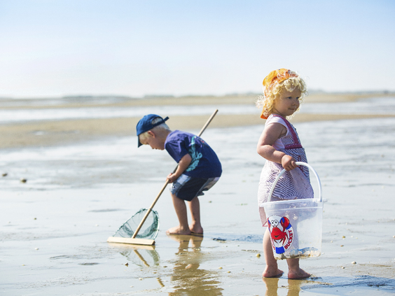 Jonge kinderen met een schepnetje en emmer zoeken naar krabbetjes en visjes in de branding op het strand van Terschelling.