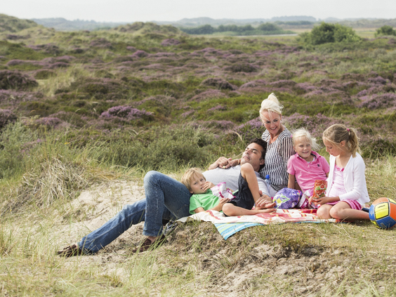 Een gezin heeft een gezellige picknick tussen de paarse heide in de duinen van Terschelling.