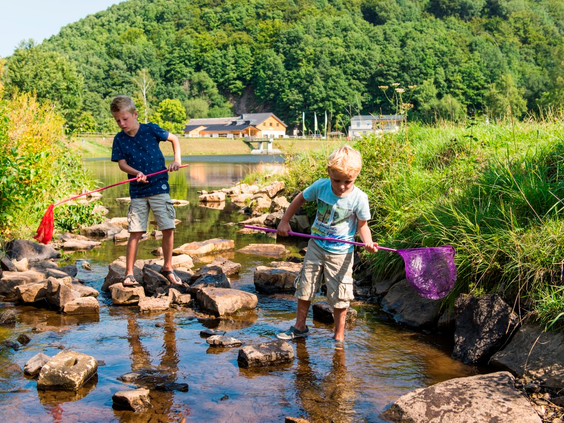 Kinderen spelen en stappen over rotsen in een ondiep beekje in de bosrijke omgeving van Landal Wirfttal.