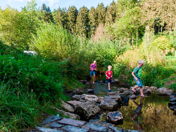 Drie kinderen spelen avontuurlijk in een ondiep beekje in het bos, terwijl ze over de stenen stappen bij Landal Wirfttal.