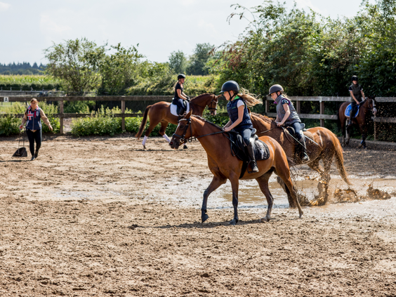 Kinderen rijden op paarden en pony's tijdens een paardrijles in de zanderige buitenmanege van Landgoed de Scheleberg.