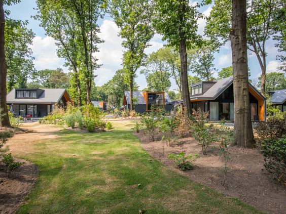 Overzicht van de moderne vakantiewoningen die verscholen liggen tussen de hoge bomen op het bosrijke Landgoed de Scheleberg.