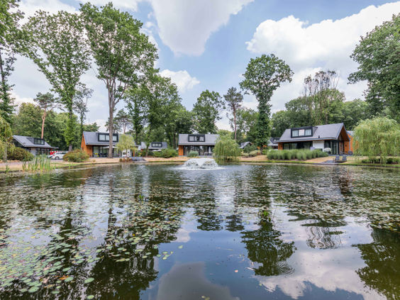 Grote vijver vol met waterlelies op Landgoed de Scheleberg, met op de achtergrond de vakantiehuizen en bomen.