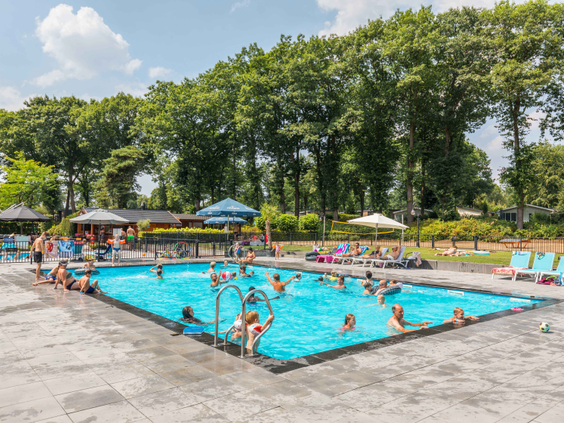 Mensen genieten van het zonnige weer in het grote, rechthoekige buitenzwembad van Landgoed de Scheleberg op de Veluwe.