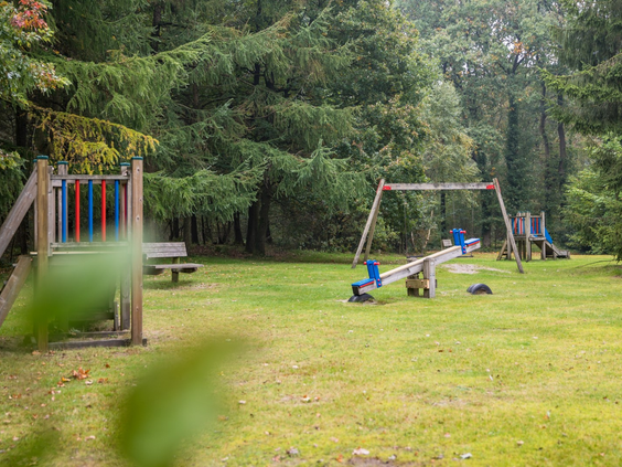 Een leuke buitenspeeltuin met een schommel en een wipkip, gelegen op een grasveld midden in de bossen van Landgoed het Grote Zand.