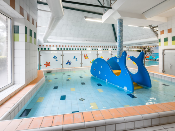 Het veilige peuterbad met een vrolijke blauwe walvisglijbaan op Landgoed het Grote Zand, perfect voor de allerkleinsten.