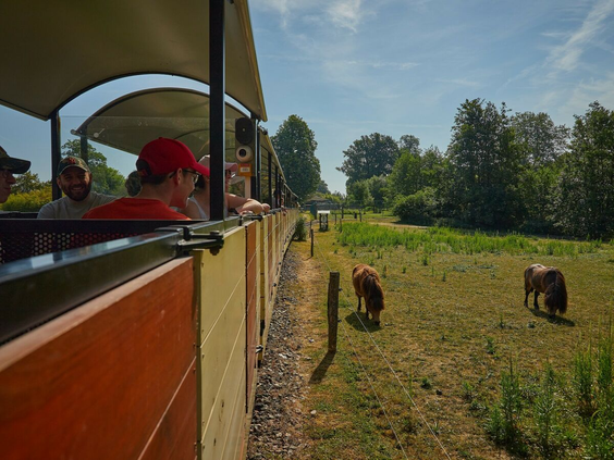 Camping Le Chêne Gris