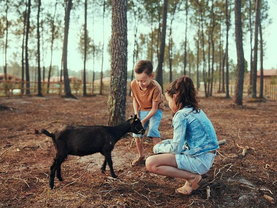 Center Parcs Les Landes de Gascogne