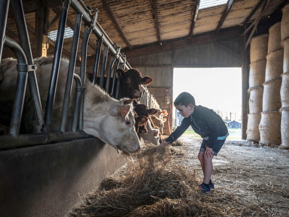 BoerenBed L'Étable des Mauges en Anjou