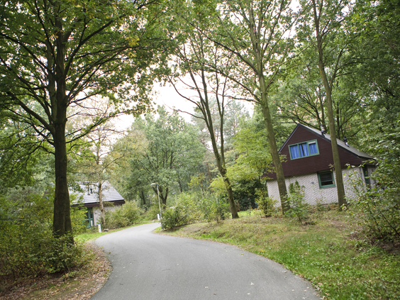 Vakantiecottages gelegen in de bosrijke en heuvelachtige omgeving van vakantiepark Center Parcs Limburgse Peel.
