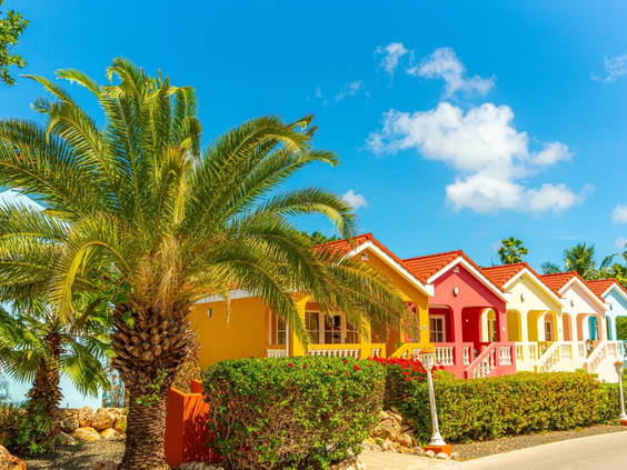 Rijen met kleurrijke tropische huisjes op Curaçao onder een strakblauwe lucht met een palmboom