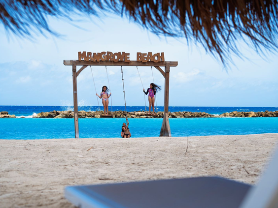 Mangrove Beach Resort