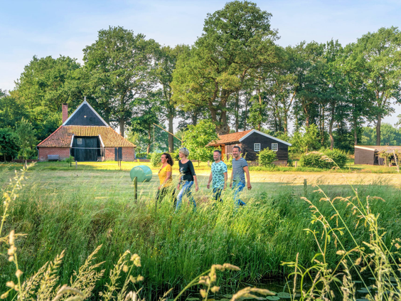 Vier mensen wandelen door de natuurrijke omgeving van de Achterhoek bij Marveld Recreatie, met op de achtergrond een boerderij.
