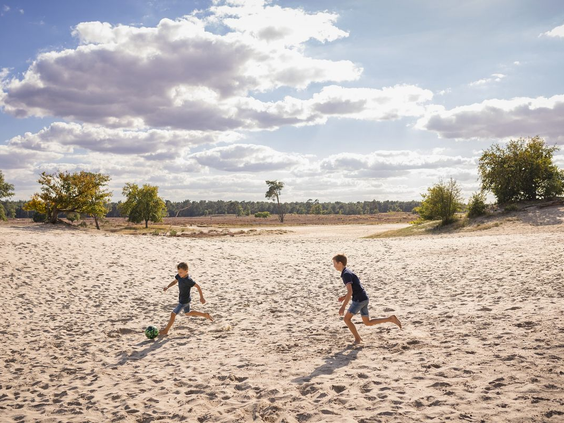 Duinen