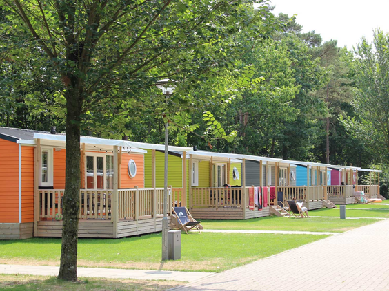 Een rij met vrolijk gekleurde huurcaravans op Molecaten Park Bosbad Hoeven, gelegen aan een groen grasveld onder de bomen.