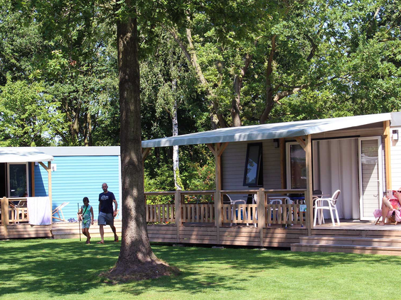 Een comfortabele stacaravan met een houten veranda, gelegen op een ruime plek in het bosrijke gedeelte van Molecaten Park Bosbad Hoeven.