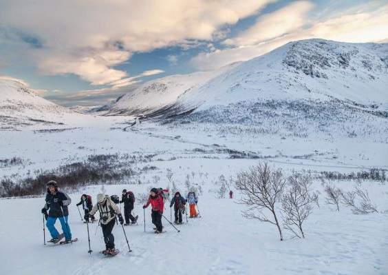 Noorderlicht in Tromsø