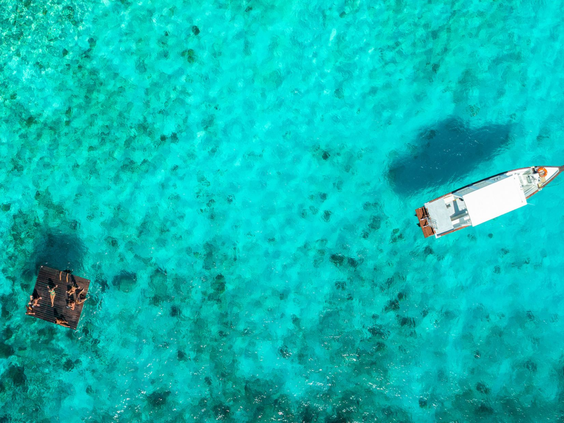 Coral Estate Luxury Resort