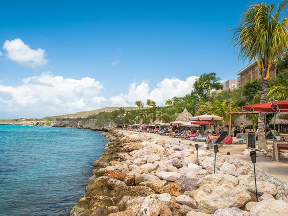 Oasis Coral Estate Beach, Dive & Wellness Resort