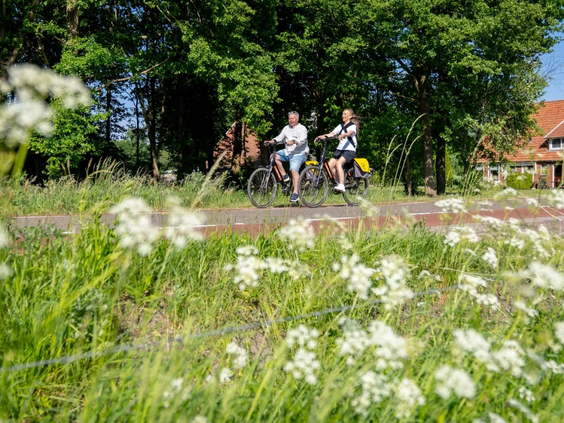 Een gezin fietst door het bloemrijke landschap in de landelijke omgeving van vakantiepark Olde Kottink in Twente.