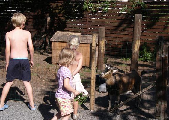 Vakantiepark Øster Hurup